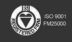 bsi